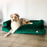 legowisko ortopedyczne dla psa, kanapa