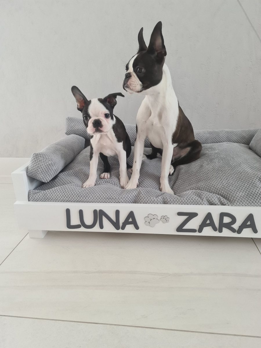 Obrazek #1 od Luna i Zara