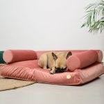 legowisko-ortopedyczne-poslanie