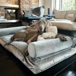 legowisko ortopedyczne dla dużego psa