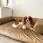 legowisko-ortopedyzne-beżowe-cavalier