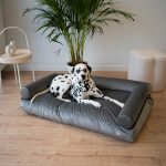 legowisko-xxl-dla-psa
