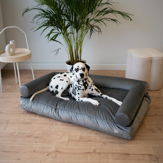 Legowisko ortopedyczne welurowe glamour dla dużego psa L