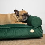 legowisko-z-pianka-memory