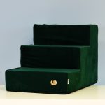 schody-dla-psa-butelkowa-zielen