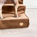 schody schodki dla psa beżowe, rampa