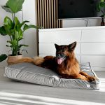 A0AED1C9-4AE1-47EA-A411-A1458954EA0A_1_102_o