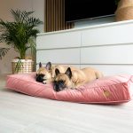 materac-ortopedyczny-dla-psa