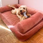 legowisko-dla-psa-welurowe-design