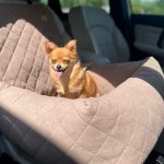 fotelik-samochodowy-bezowy