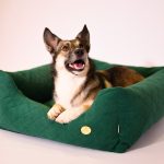 legowisko-dla-sredniego-psa-xl