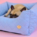 przytulne-legowisko-dla-psa