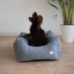 legowisko-dla-ciuhuahua