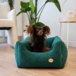 legowisko-dla-malego-psa