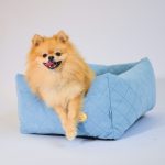 legowisko-dla-malego-psa-szpic-miniaturowy