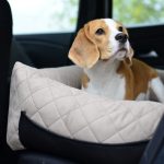 duzy-fotelik-dla-psa