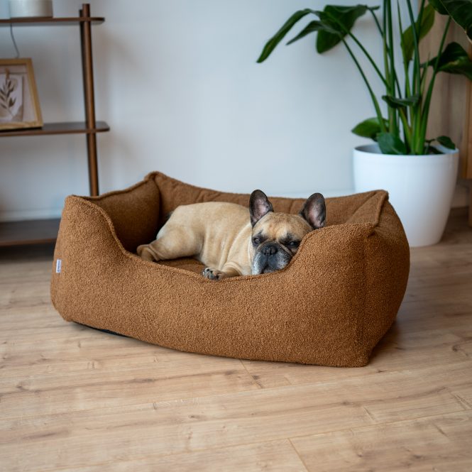 Pokrowiec – TEDDY- Rozmiar S