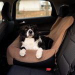 fotelik samochodowy transporter dla dużego psa