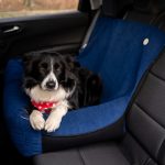 transporter-samochodowy-dla-duzego-psa