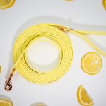 linka-dla-psa-biothane-5-metrow