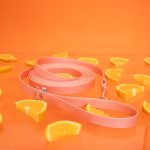 linka-treningowa-biothane