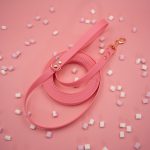 linka-treningowa-biothane-5m