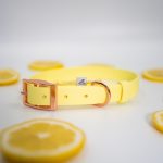 obroza-biothane-zolta-dla-psa