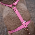 ROZOWE-SZELKI-DLA-PSA-BIOTHANE