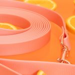 biothane smycz pomarańczowa linka